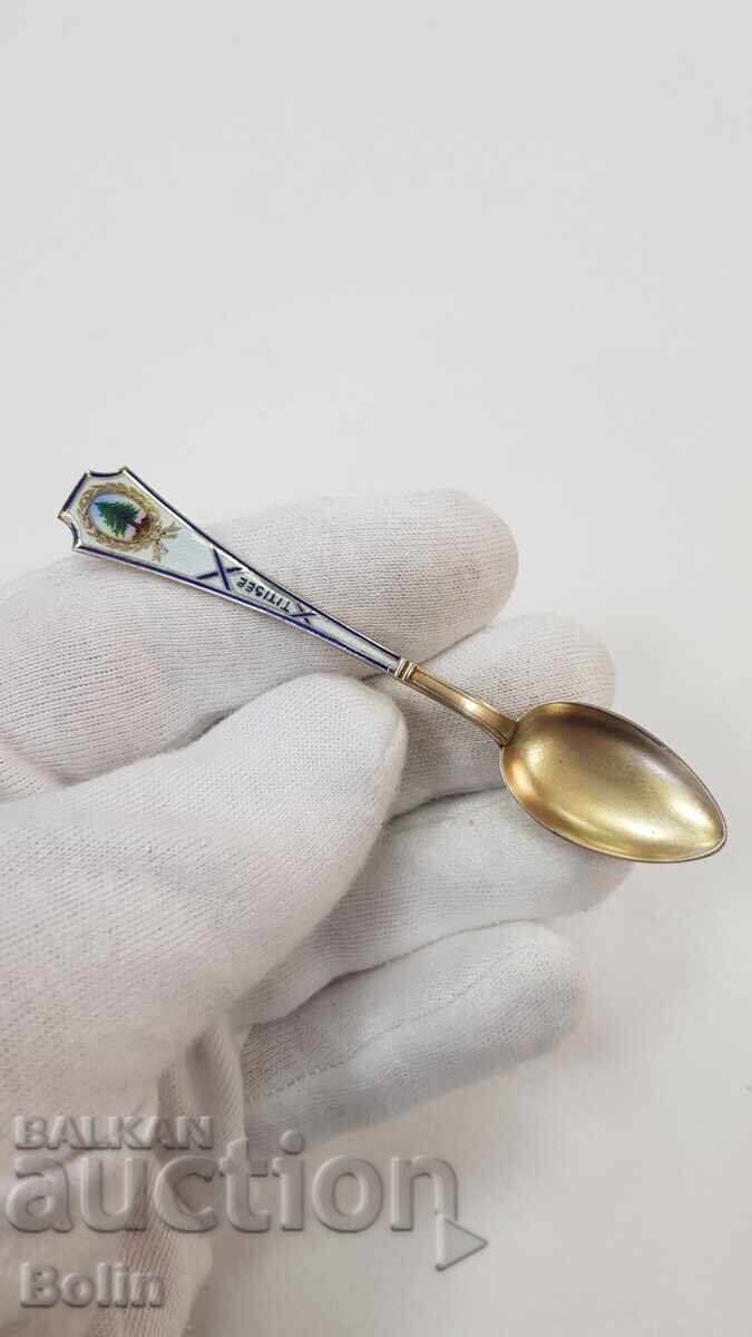 Collectible silver, gold-plated spoon, teaspoon with enamel Europe - 6