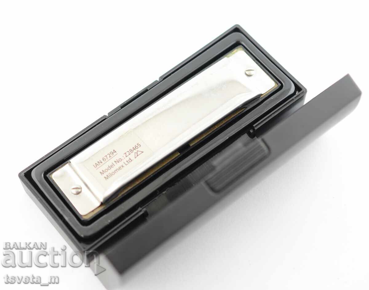 Auction  Accordion with case