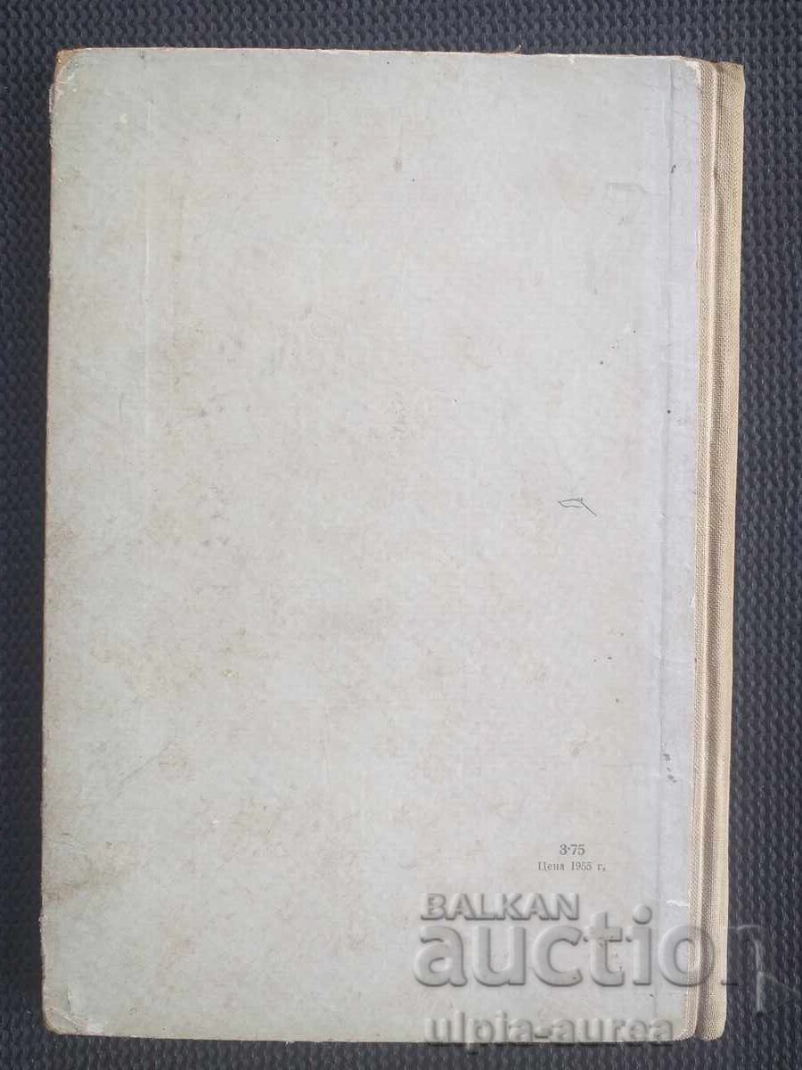 1955 Children's Book Soc - 5