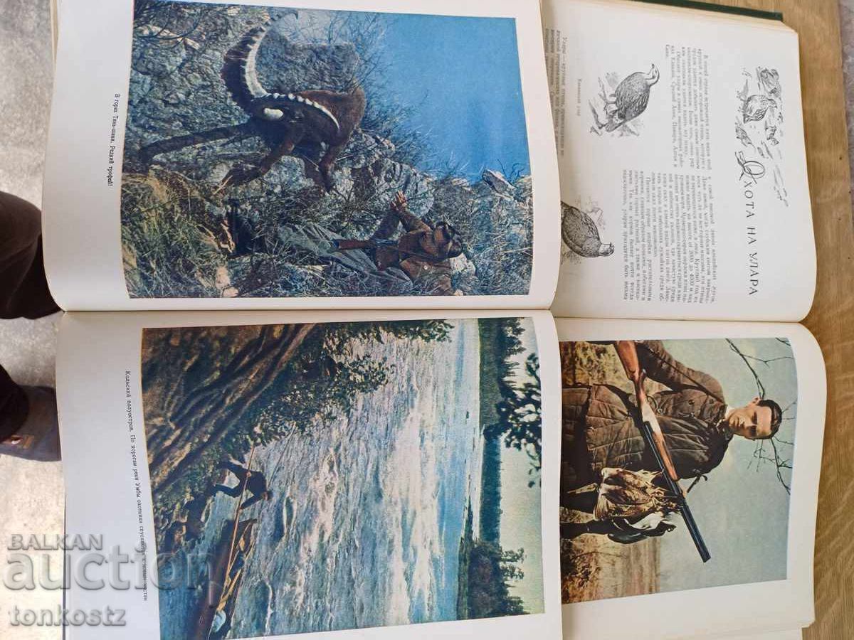 Κυνηγού Αθλητή 1955 ετών - 6