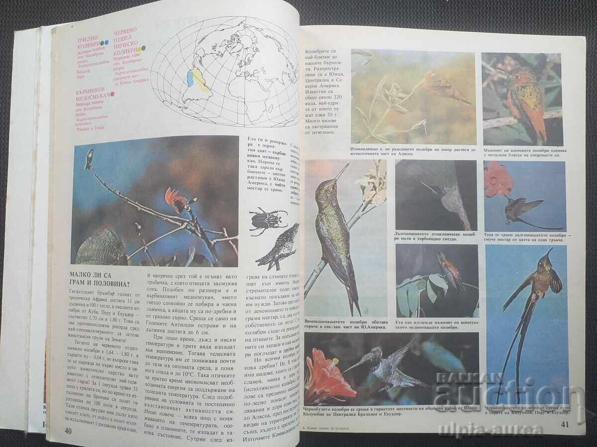 What We Know About Birds with price 10.00 BGN | € 5.11 What We Know About Birds with price 10.00 BGN | € 5.11