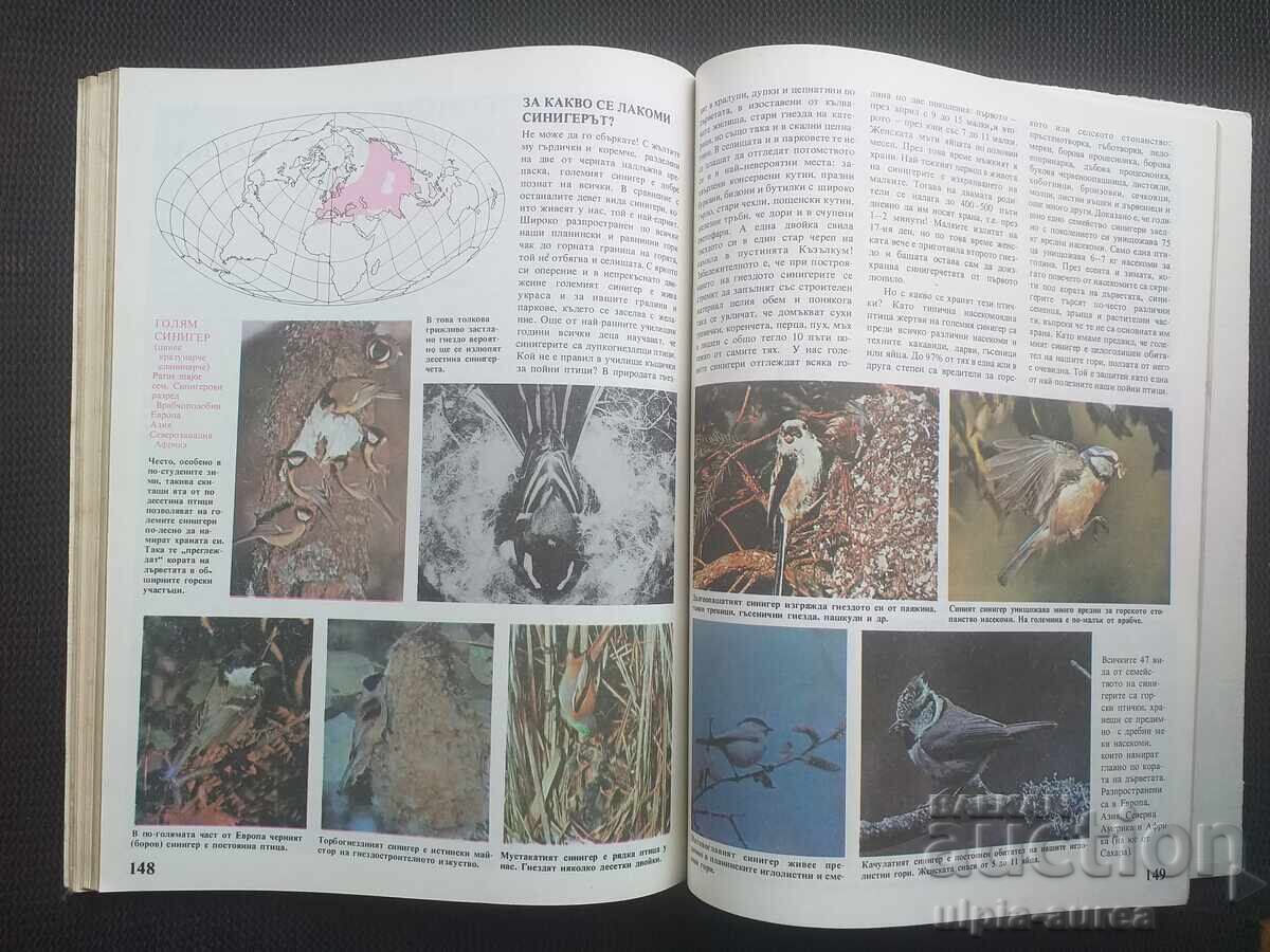 Auction What We Know About Birds Auction What We Know About Birds