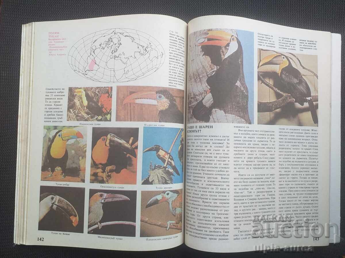 Delivery of What We Know About Birds Delivery of What We Know About Birds