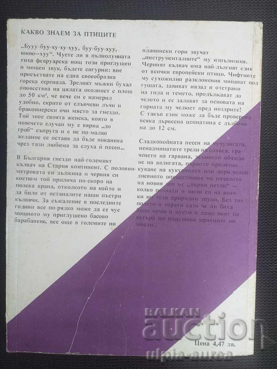 What We Know About Birds - 5 What We Know About Birds - 5