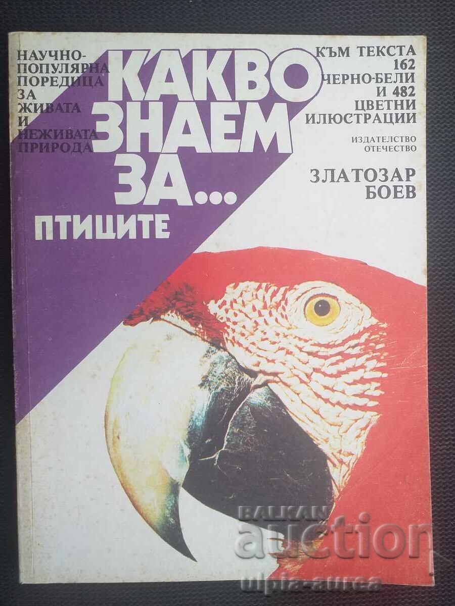 What We Know About Birds What We Know About Birds