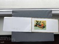 Стара Картичка  Поздравителна  - България 1982