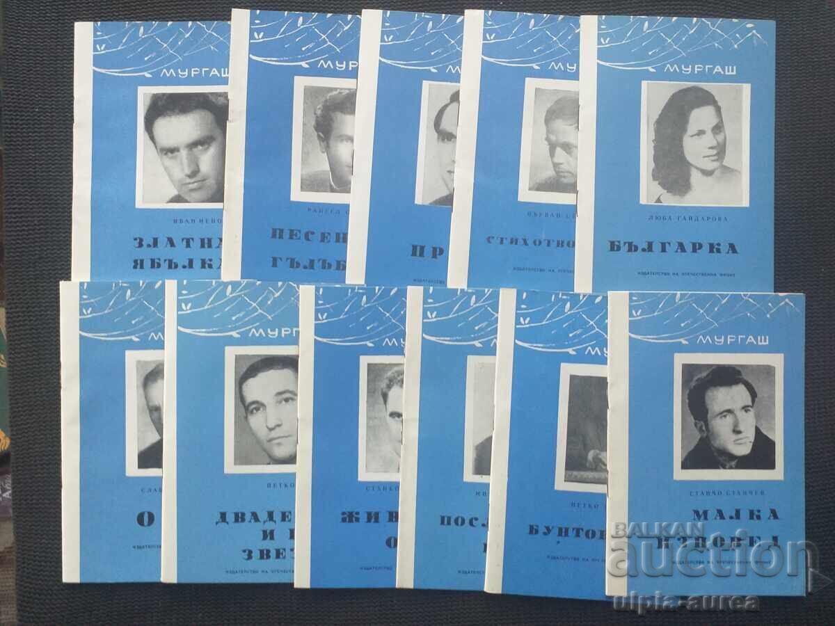 Auction  Echo from Murgash Soc