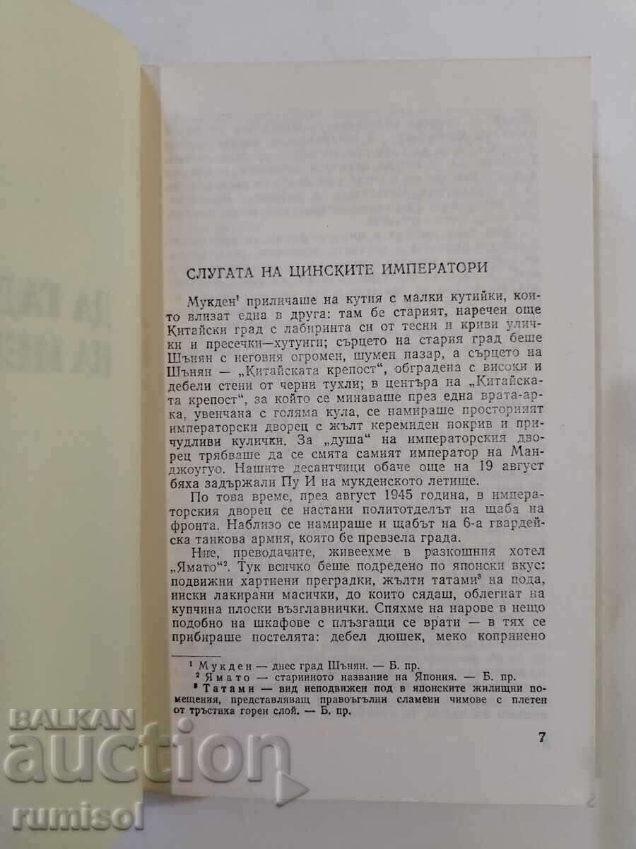 Auction  Divination by hieroglyphs - Maria Kolesnikova