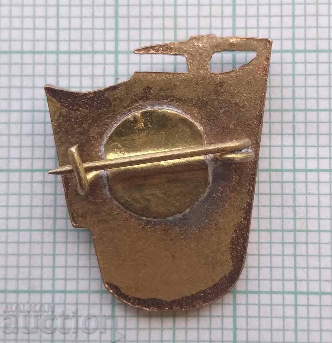 Auction  19097 Participant in Communist Construction - enamel