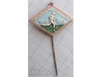 19098 Insigna 1959. 40 de ani KIMSZ. Ungaria. Komsomol