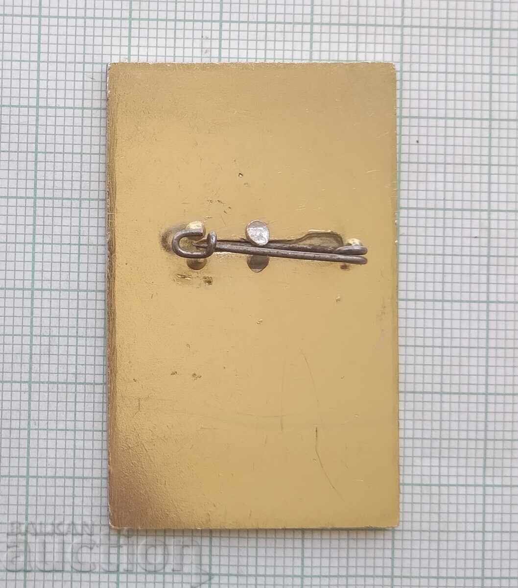 Аукцион 19105 Значка - 5-ти танцов фестивал Рудолщат 1969г. Германия