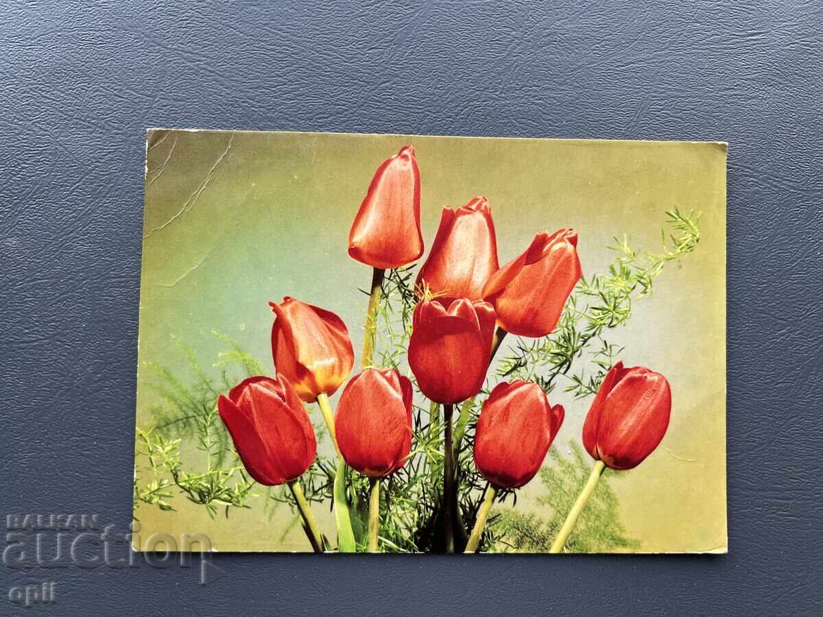 Ταξιδεμένη Παλιά Κάρτα - Πολωνία 1981