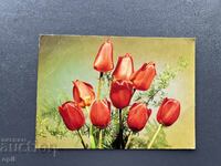 Ταξιδεμένη Παλιά Κάρτα - Πολωνία 1981