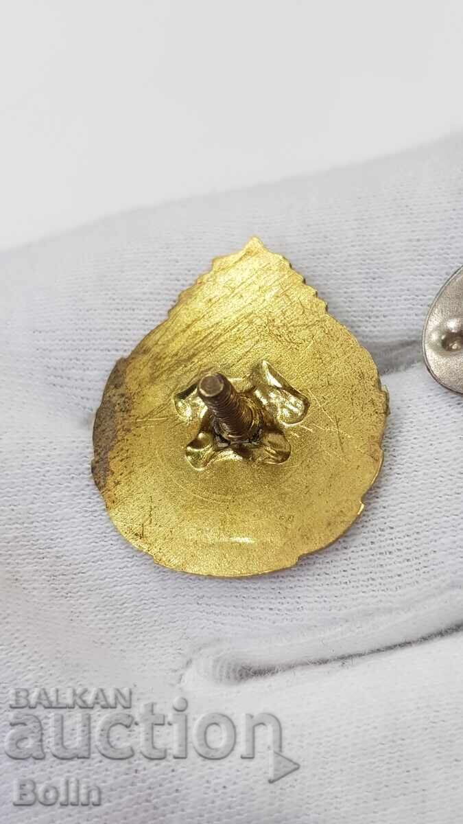 Livrarea Semn de pompier de colecție, insignă - Letonia