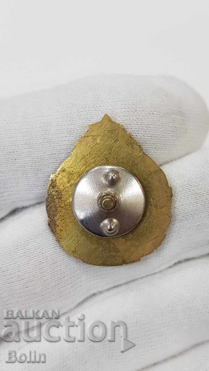 Semn de pompier de colecție, insignă - Letonia - 5