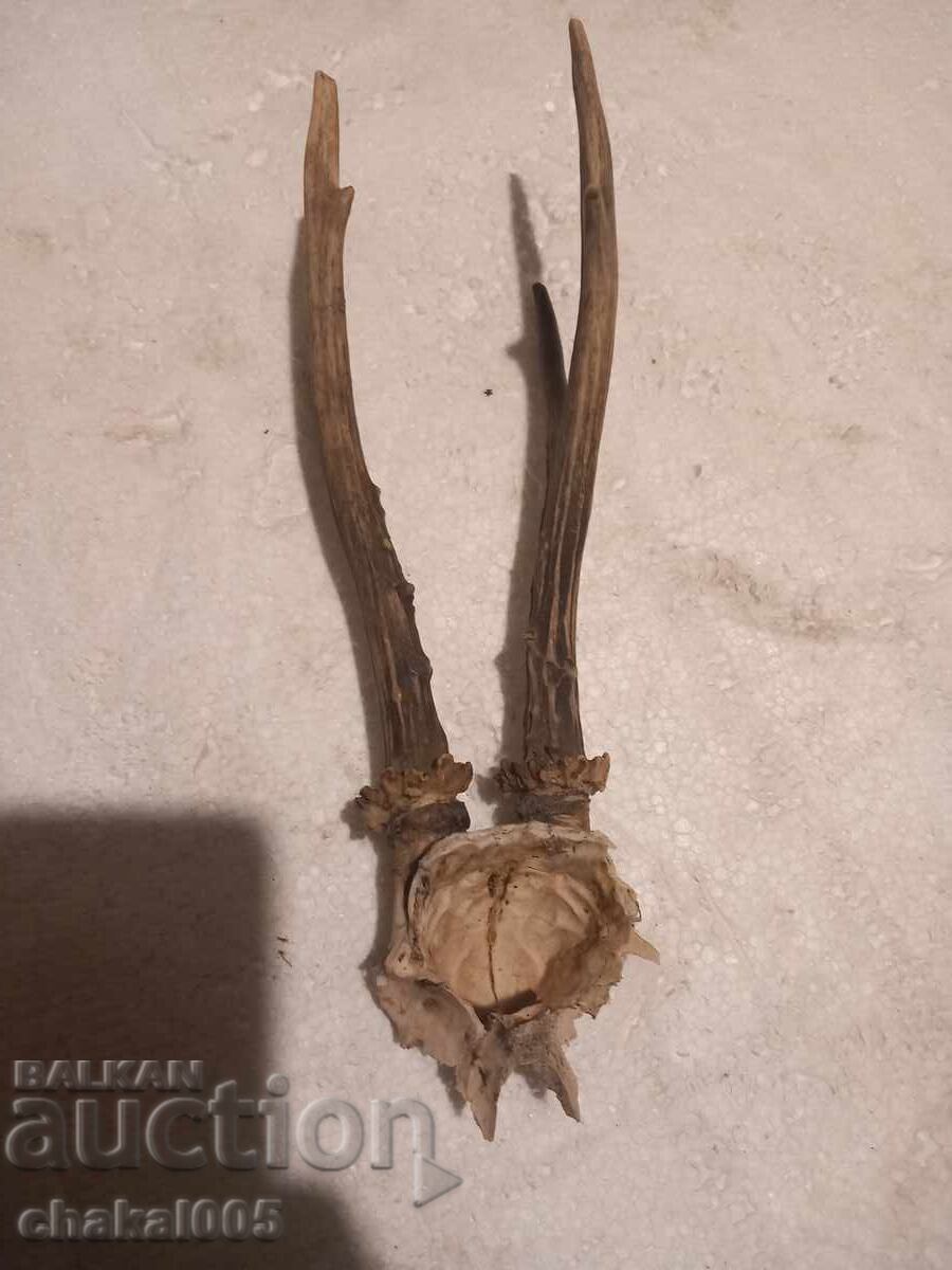 Τρόπαια Λείψανα με τιμή 40.00 BGN | € 20.45 Τρόπαια Λείψανα με τιμή 40.00 BGN | € 20.45