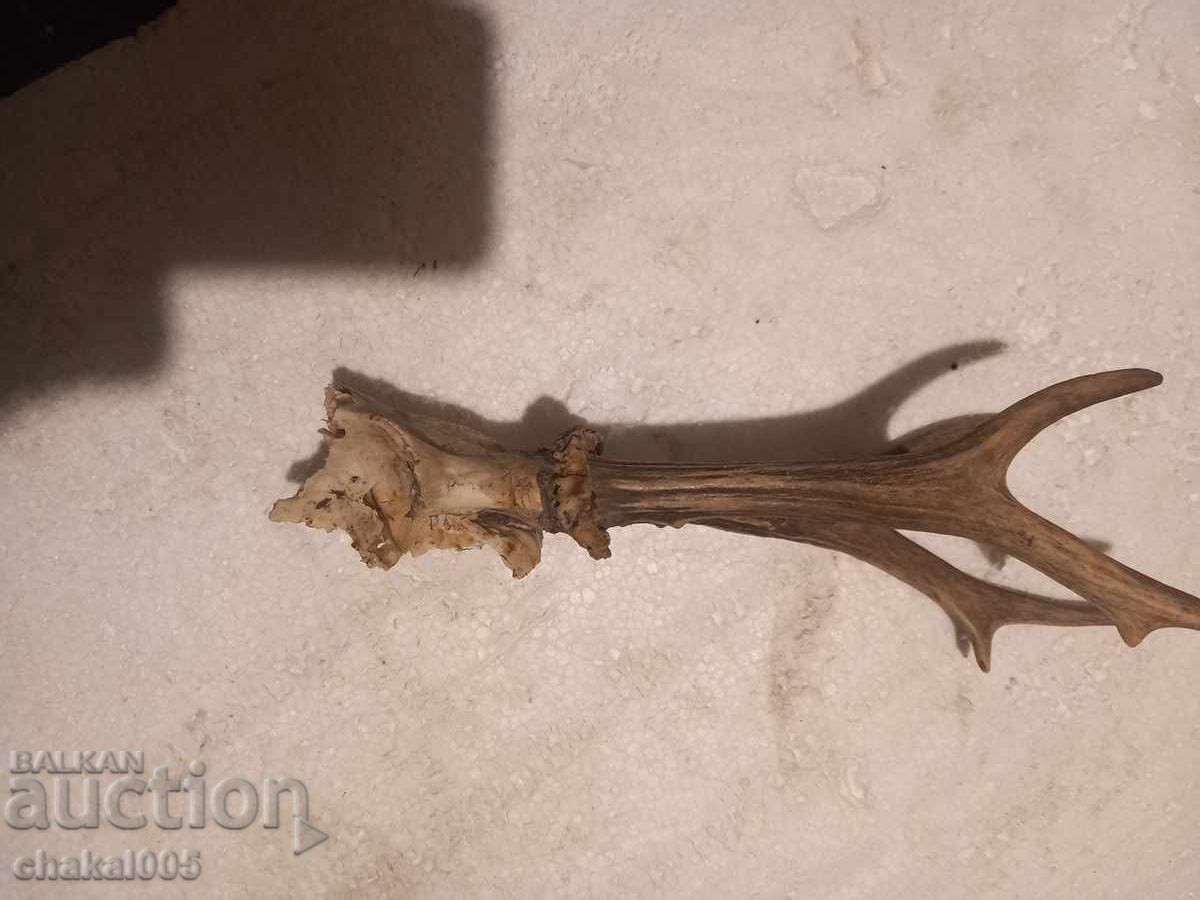 Δημοπρασία Τρόπαια Λείψανα Δημοπρασία Τρόπαια Λείψανα