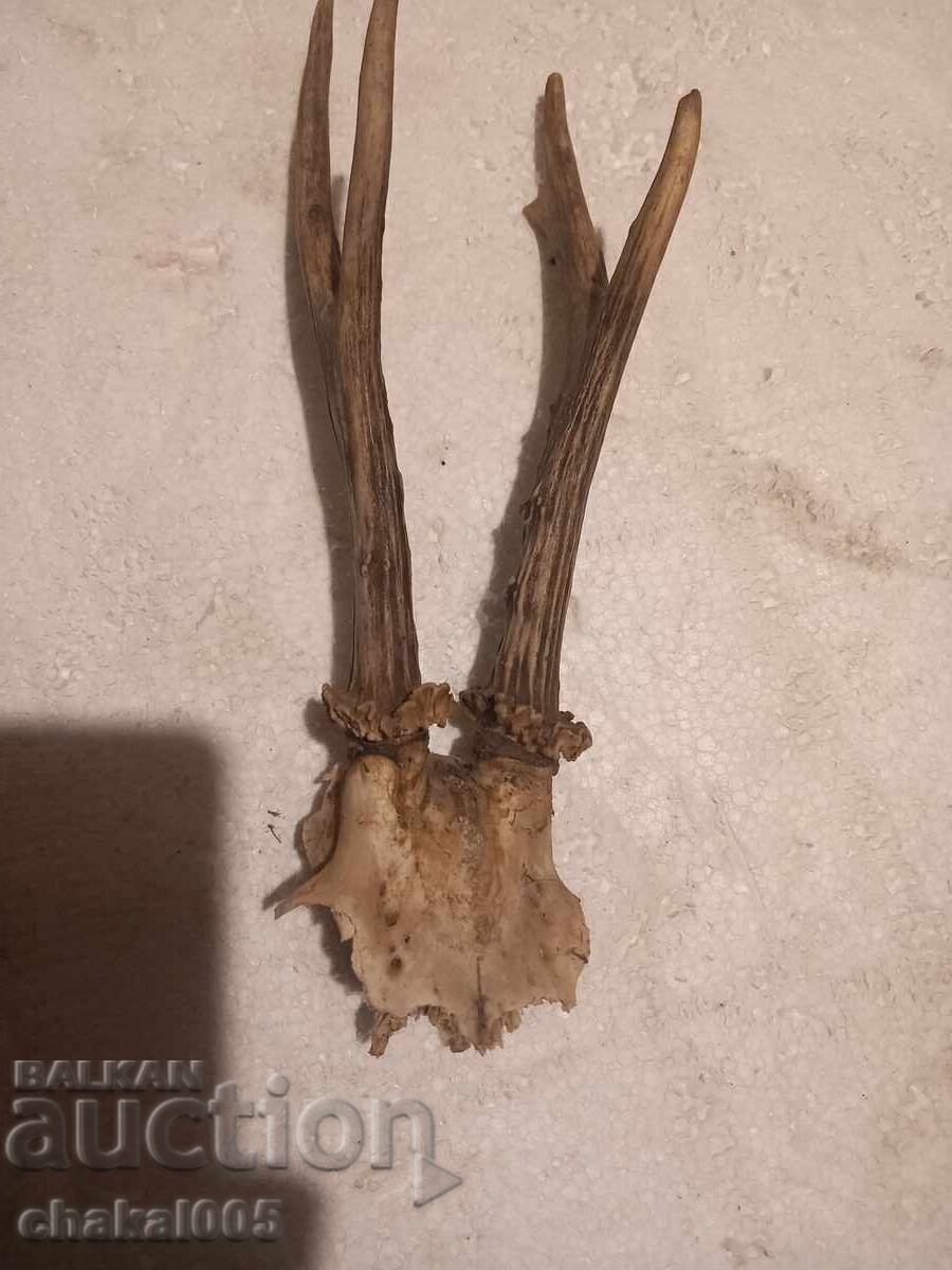 Τρόπαια Λείψανα Τρόπαια Λείψανα