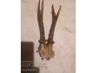 Останки от трофей