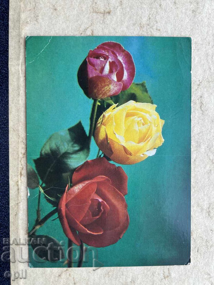 Carte poștală veche - URSS Carte poștală veche - URSS