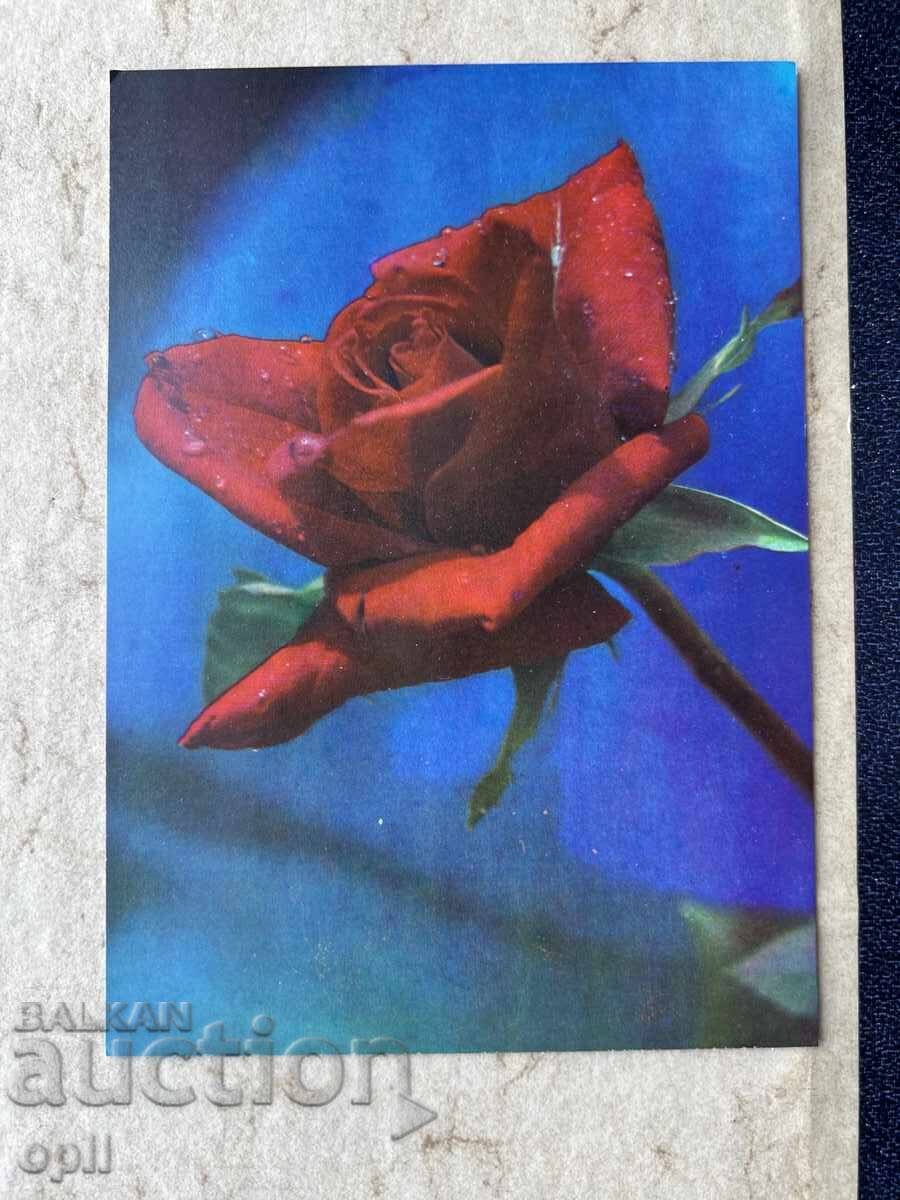 Clean Old Postcard - USSR - 1972