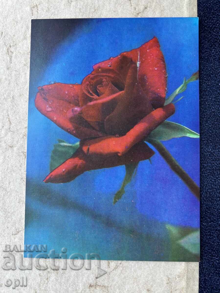 Clean Old Postcard - USSR - 1972