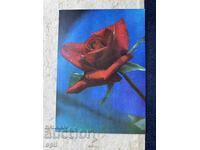 Καθαρή Παλιά Κάρτα - ΕΣΣΔ - 1972