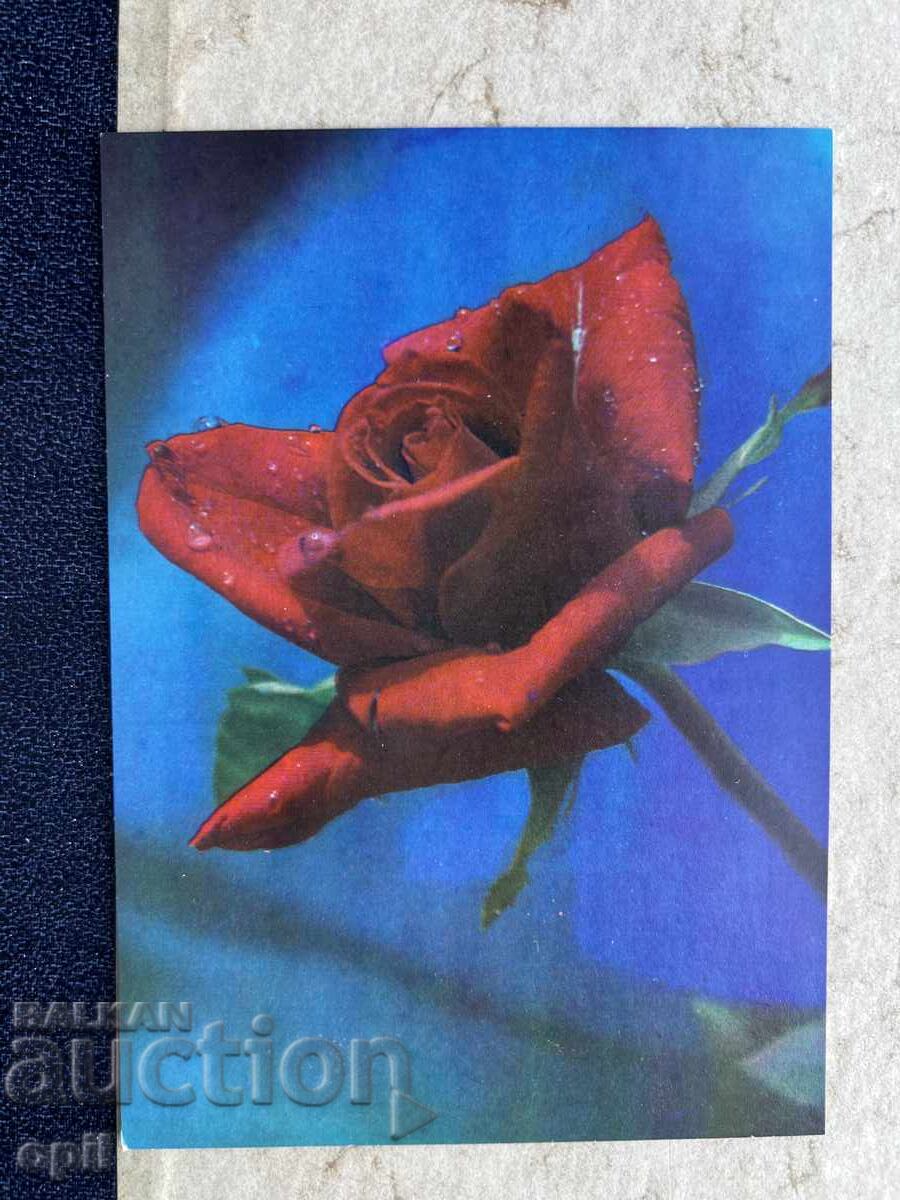 Καθαρή Παλιά Κάρτα - ΕΣΣΔ - 1972