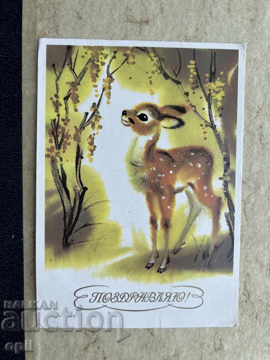 Carte poștală veche curată - URSS - Felicitări!