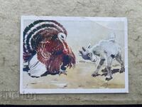 Чиста Стара Картичка - СССР