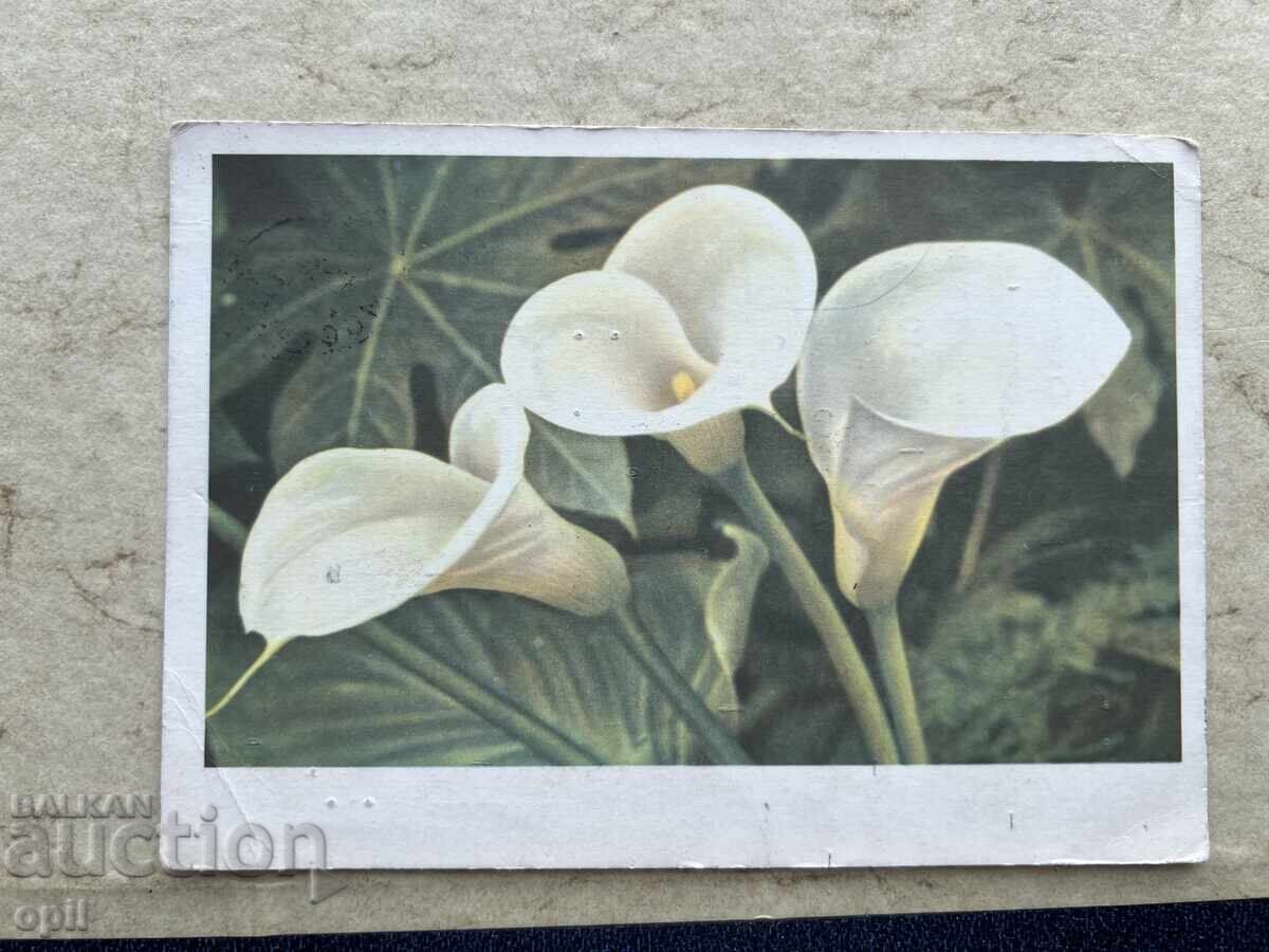 Carte poștală veche - URSS - 1967