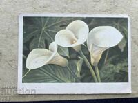 Παλιά Κάρτα - ΕΣΣΔ - 1967