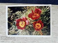 Carte poștală veche - URSS