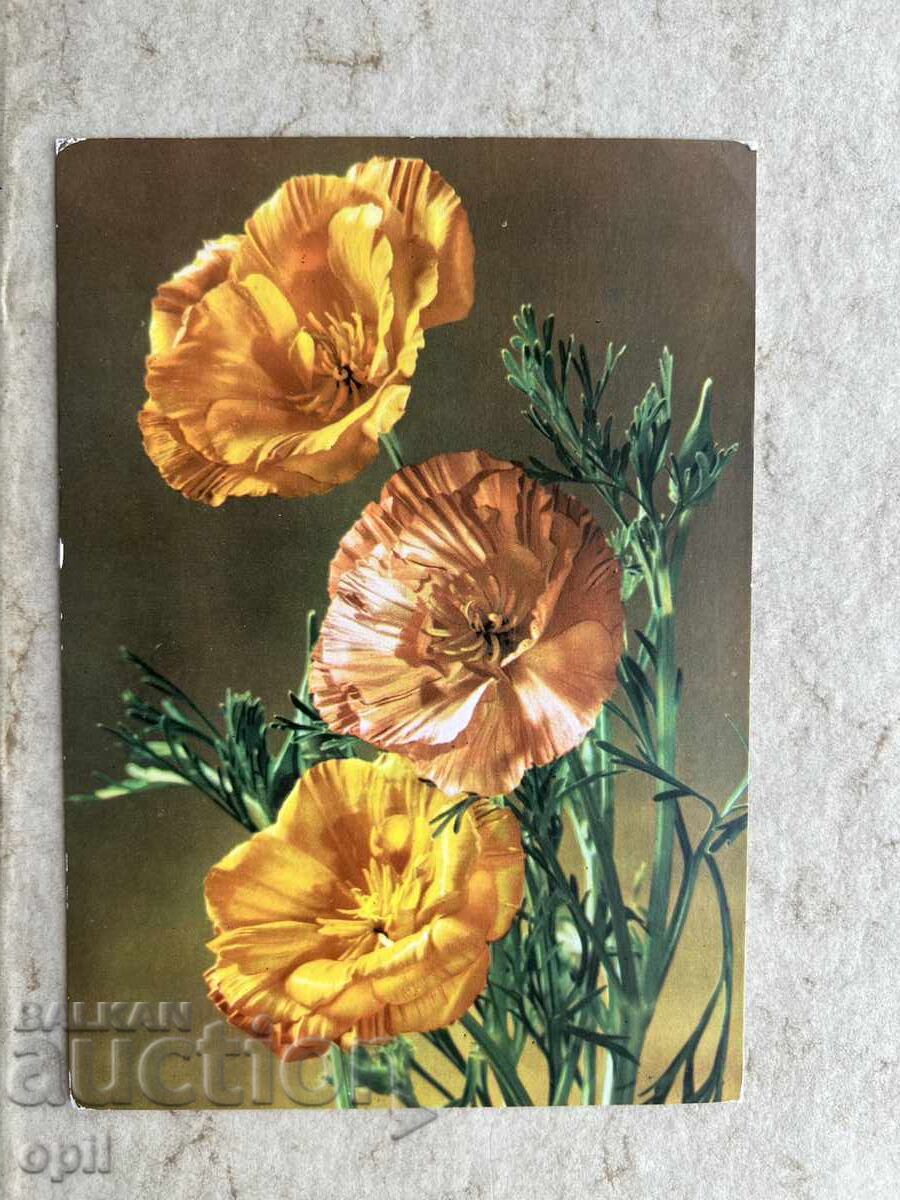 Παλιά Κάρτα - ΕΣΣΔ - Χαρούμενη 8η Μαρτίου!