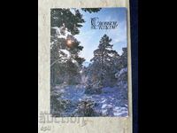 Стара Картичка - СССР - С Новым Годом! - 1979