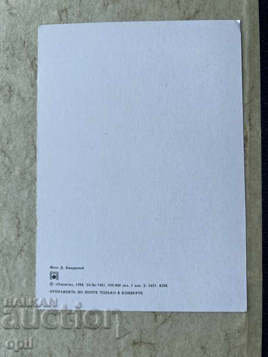 Καθαρή Παλιά Κάρτα - ΕΣΣΔ - Χρόνια Πολλά! με τιμή 1.50 BGN | € 0.77