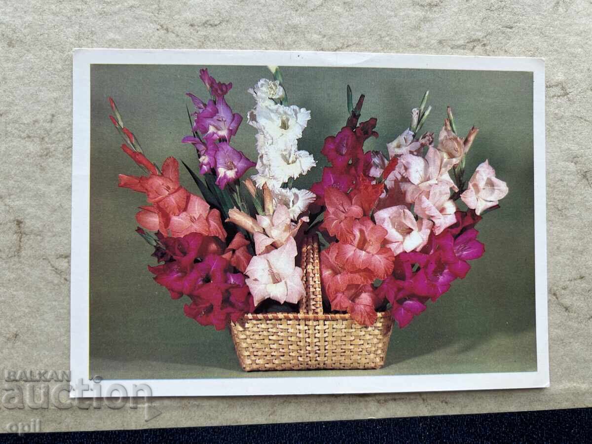 Чиста Стара Картичка - СССР Чиста Стара Картичка - СССР