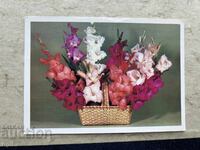 Καθαρή Παλιά Κάρτα - ΕΣΣΔ