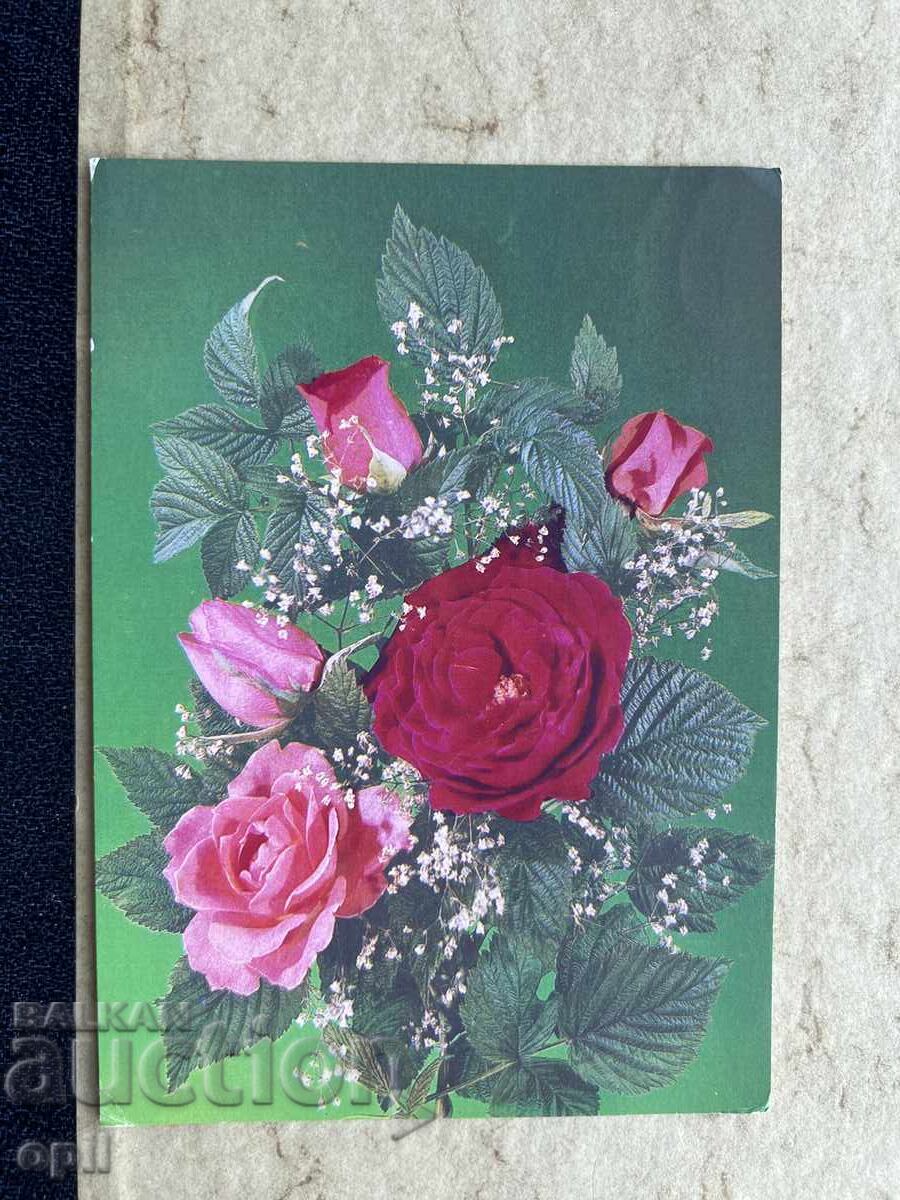 Carte Poștală Veche Curată - URSS