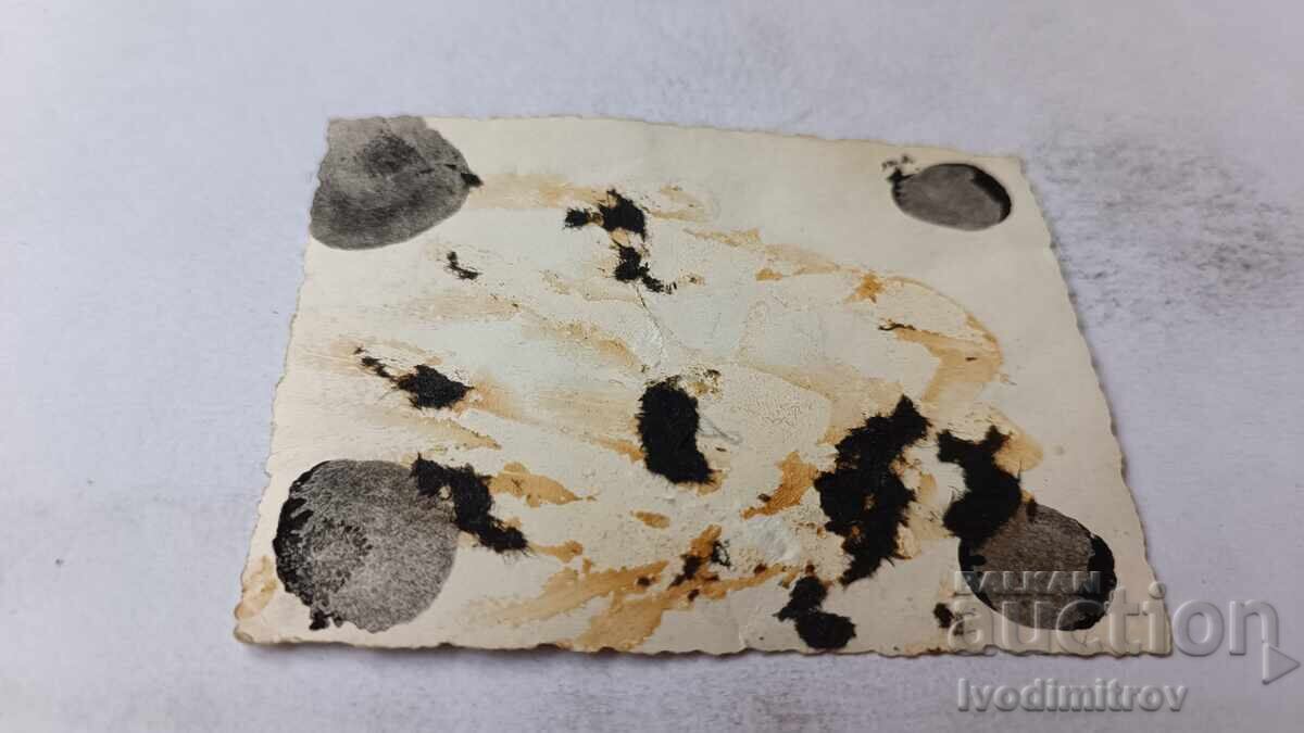 Photo Sofia. Men with retro bicycles on the street with price 2.35 BGN | € 1.20