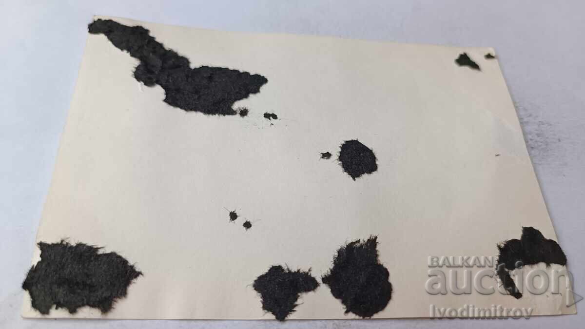 Снимка Мъж на плажа с цена 1.85 лв. | € 0.95