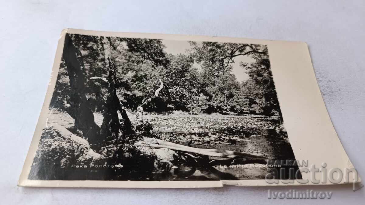 Ταχυδρομική κάρτα Ροποτάμο ποταμός 1961 Ταχυδρομική κάρτα Ροποτάμο ποταμός 1961