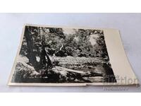 Ταχυδρομική κάρτα Ροποτάμο ποταμός 1961