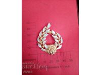 Broșă veche email, clips