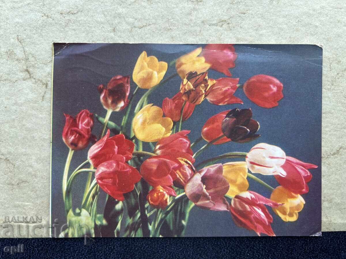 Carte poștală veche - URSS - 1974