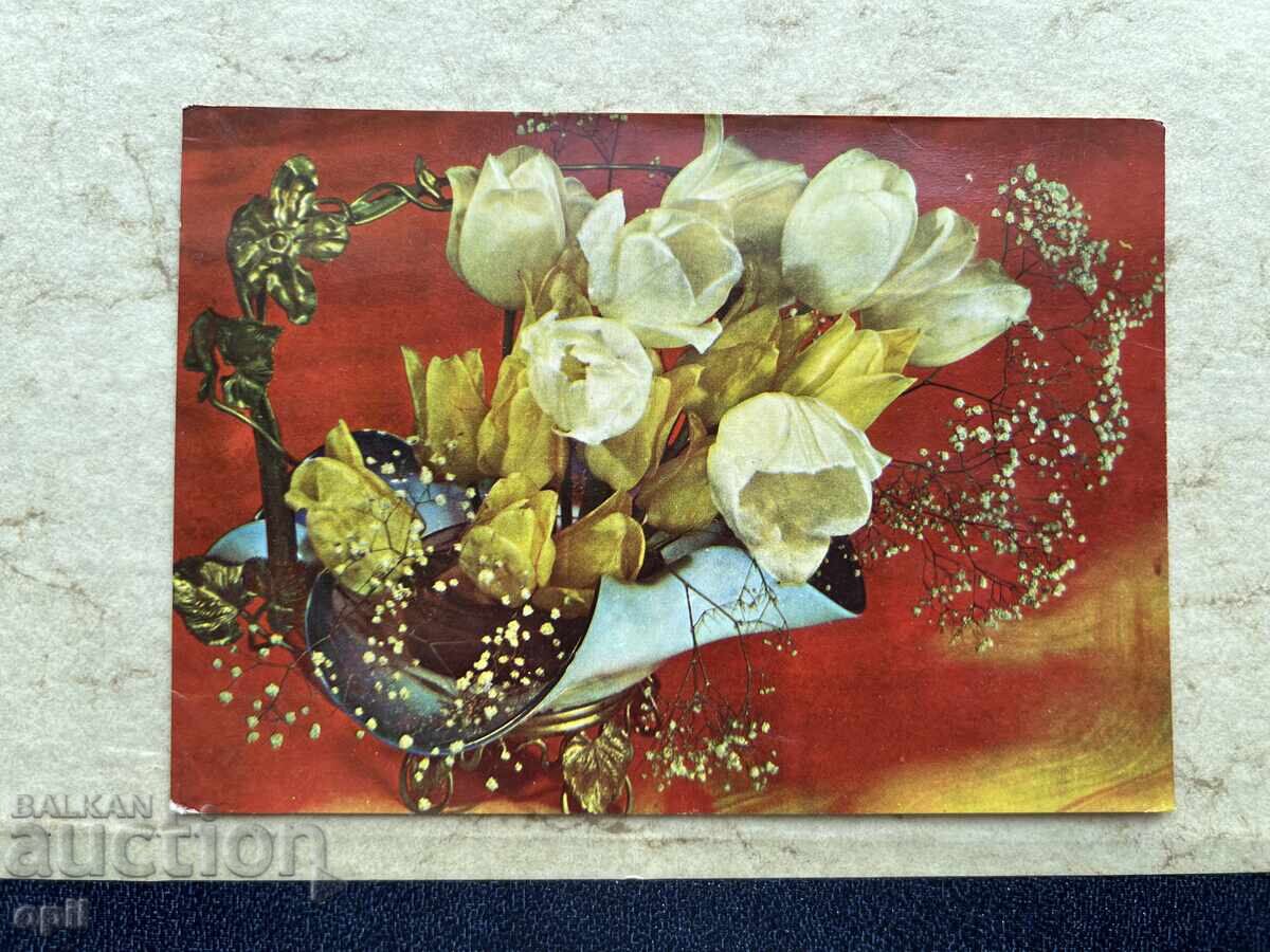 Παλιά Κάρτα - ΕΣΣΔ Παλιά Κάρτα - ΕΣΣΔ