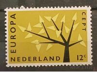 Ολλανδία 1962 Ευρώπη CEPT MNH