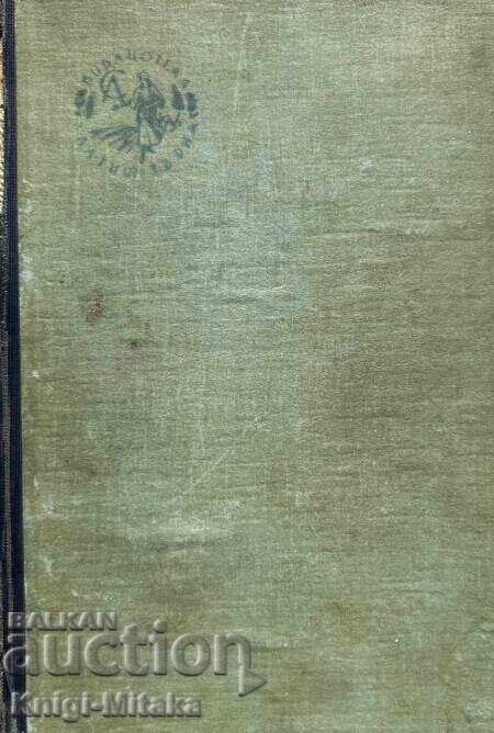 Lust for Life - Irving Stone