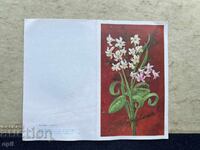 Παλιά Κάρτα - ΕΣΣΔ - Συγχαρητήρια!