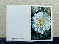 Old Postcard - USSR - March 8th!